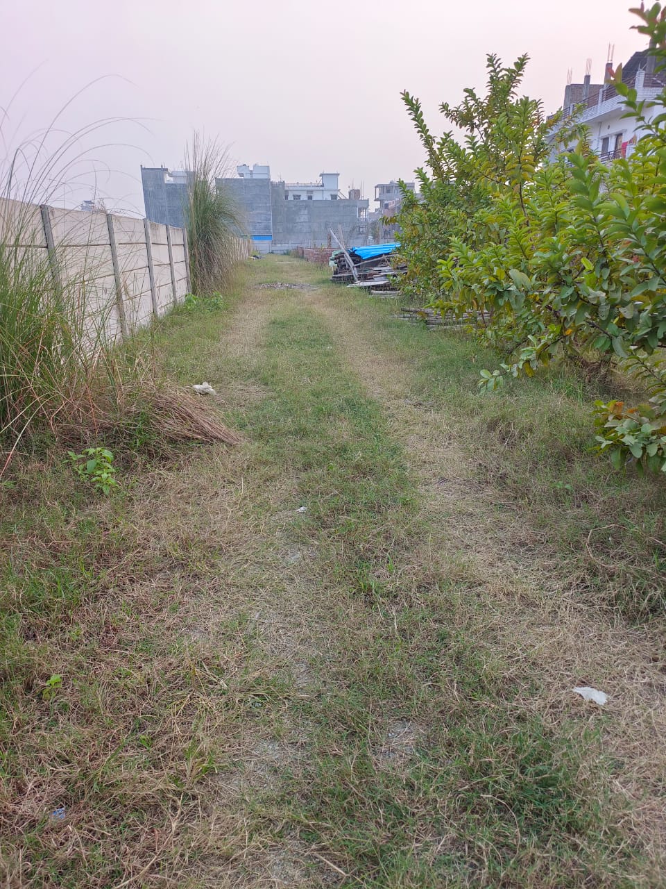 WhatsApp Image 2025-11-21 at 8.12.58 AM (1)