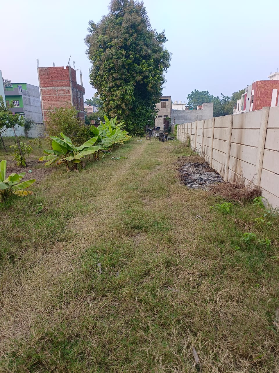 WhatsApp Image 2025-11-21 at 8.12.58 AM