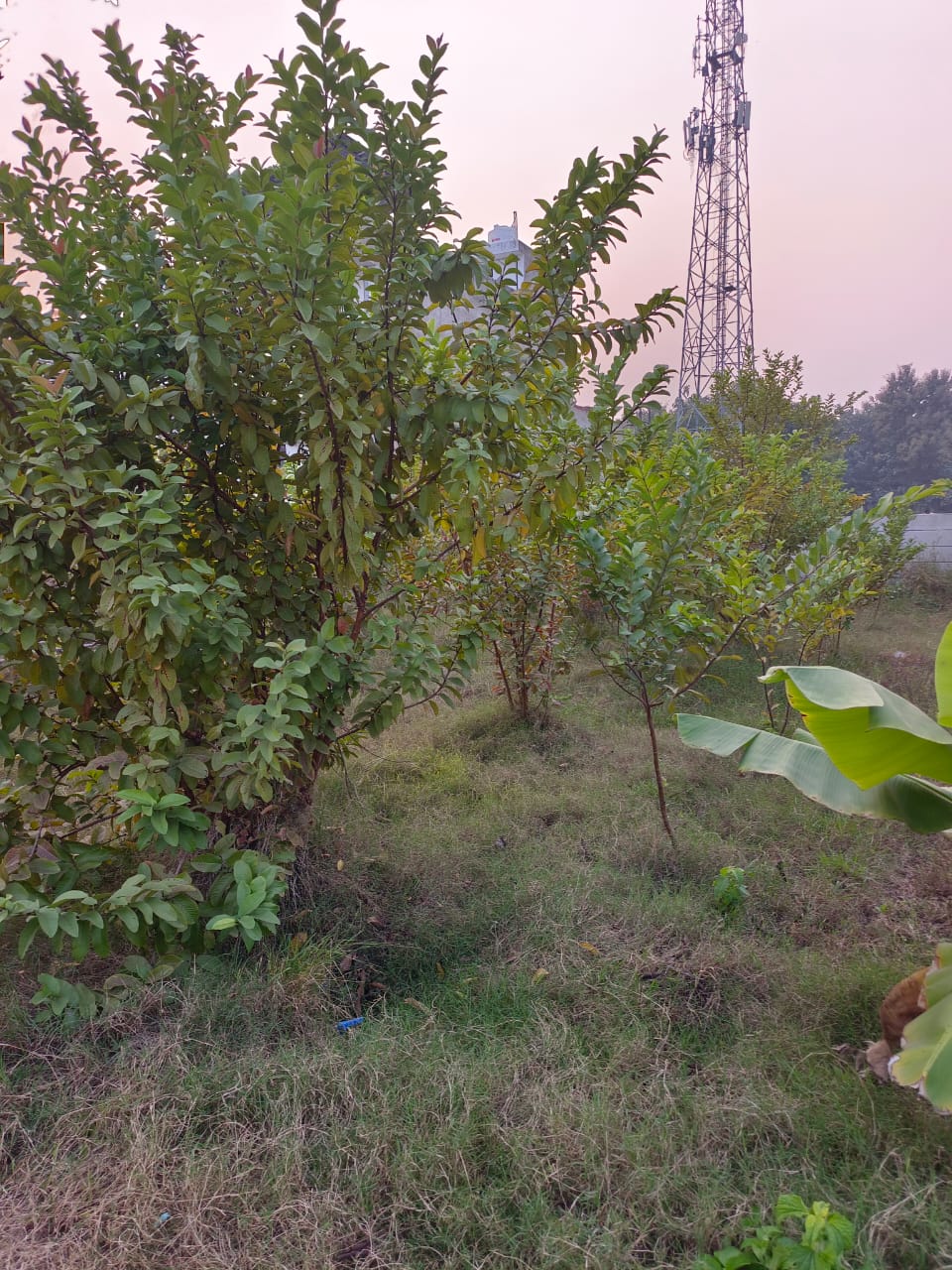 WhatsApp Image 2025-11-21 at 8.12.59 AM